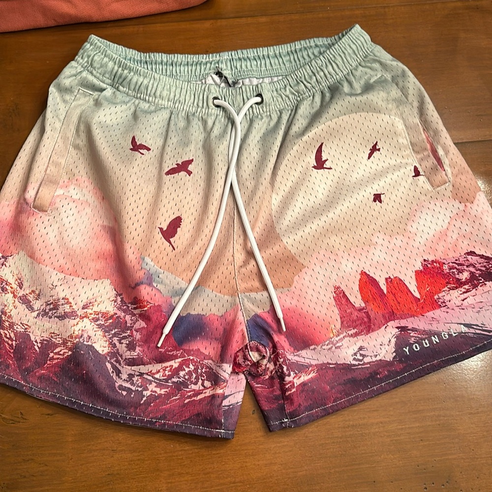 YoungLA mesh shorts